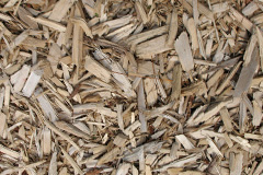 biomass boilers Gravenhunger Moss